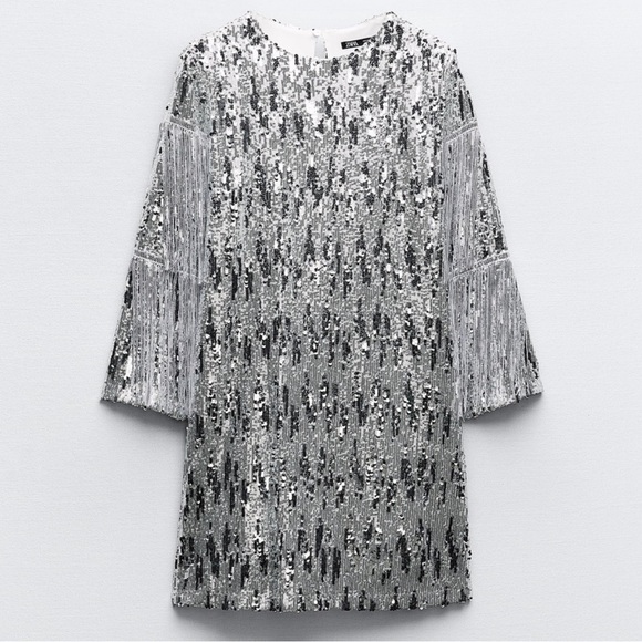 Silver Sequin Fringe Dress - Picture 3 of 5